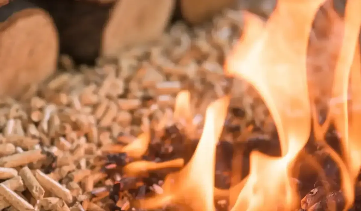 biomass_heating.webp